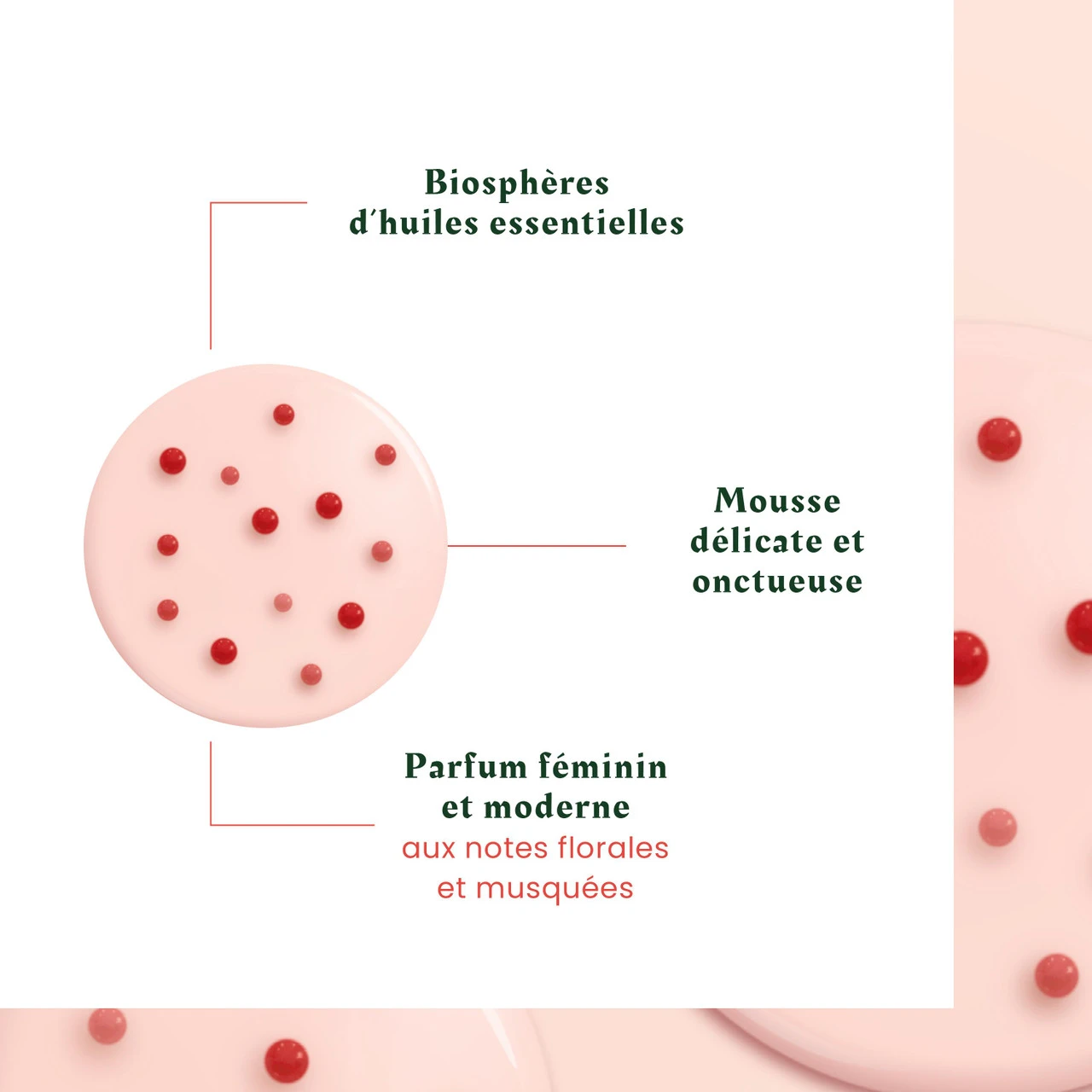 Shamp Tonucia René Furterer 50ml 4 Shamp Tonucia René Furterer 50ml – Image 2